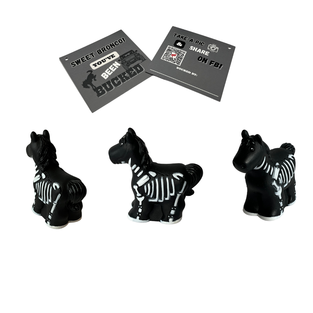 Esqueleto Collection