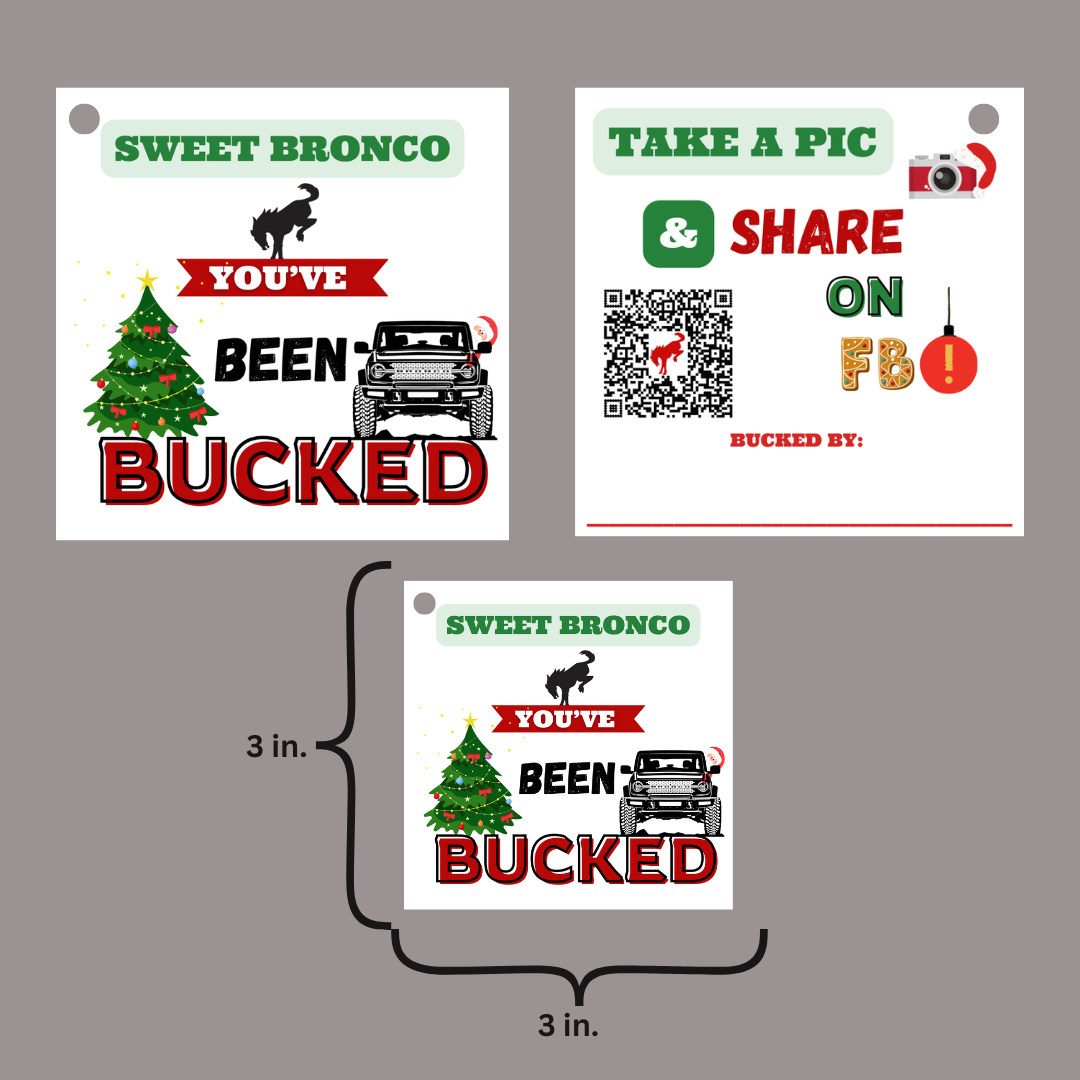 Christmas Packs